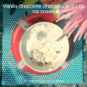 vanilla chocolate chip cookie dough ice cream